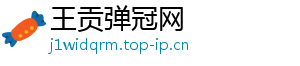 王贡弹冠网
